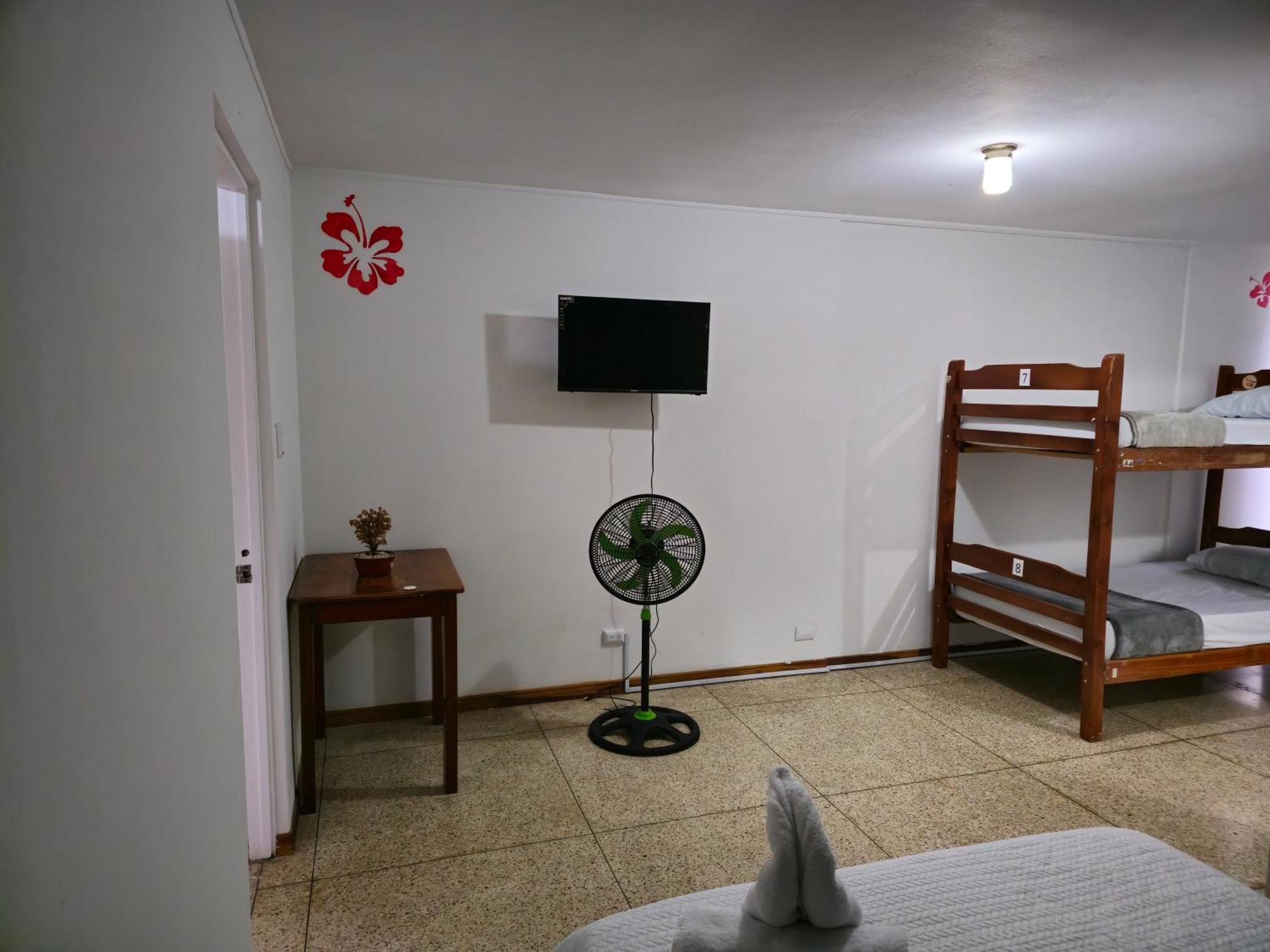 Haven Hotel San Jose  Ngoại thất bức ảnh